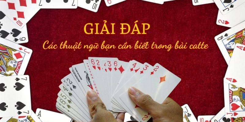 Các thuật ngữ cơ bản trong bài catte