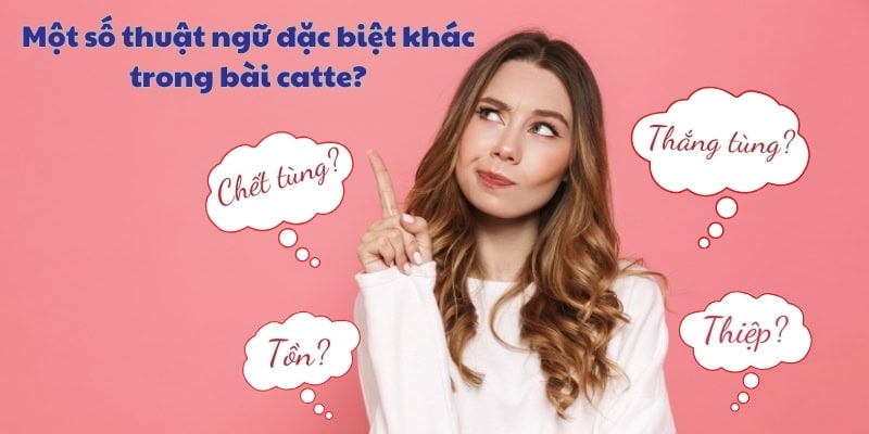 Các thuật ngữ đặc biệt trong bài catte